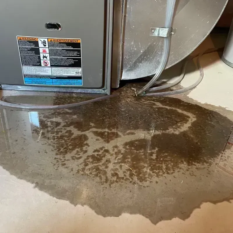 Appliance Leak Cleanup in Montgomery, IL